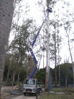 plataforma-caminhao-cheyene-em-acao.html