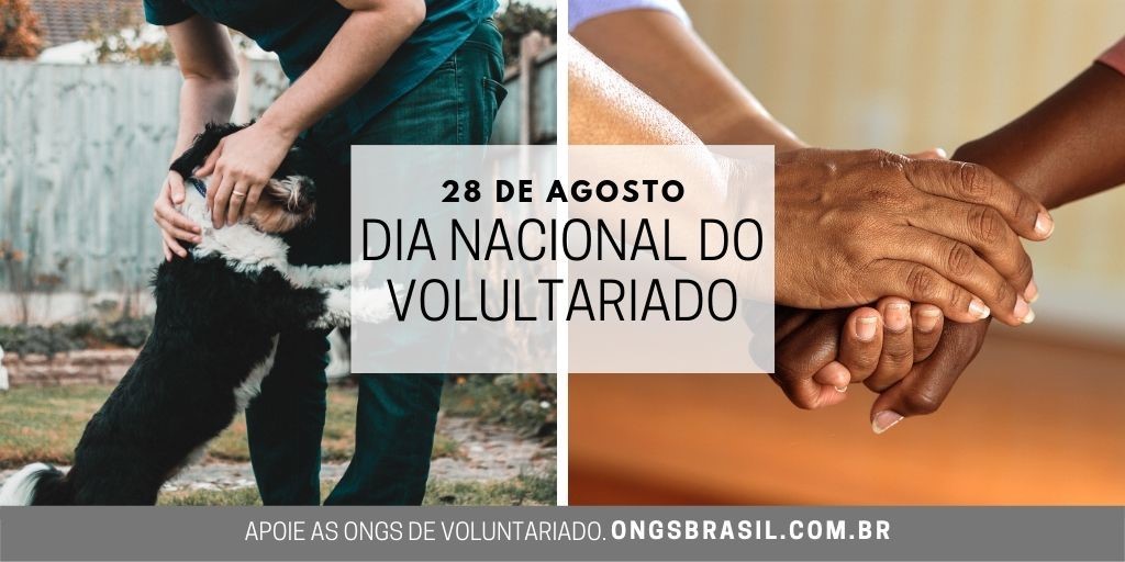 Dia do Voluntariado Dia do Voluntariado