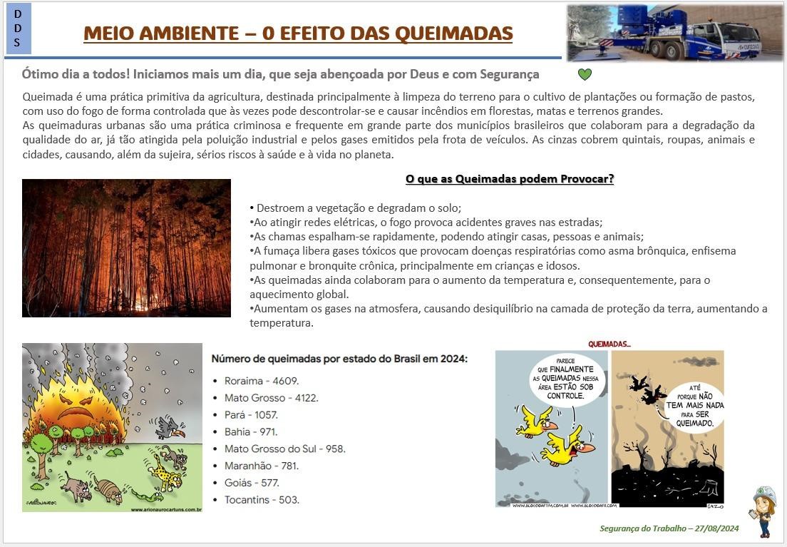 meio-ambiente-e-queimadas-conscientizacao.html