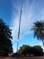Treinamento Operacional equipe Tr�s lagoas
